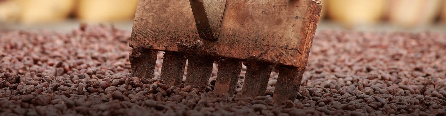 1536x400_unikat_dom7