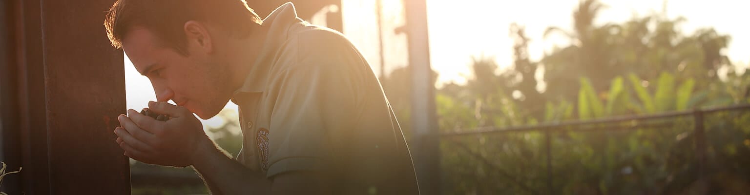 1536x400_unikat_kevin